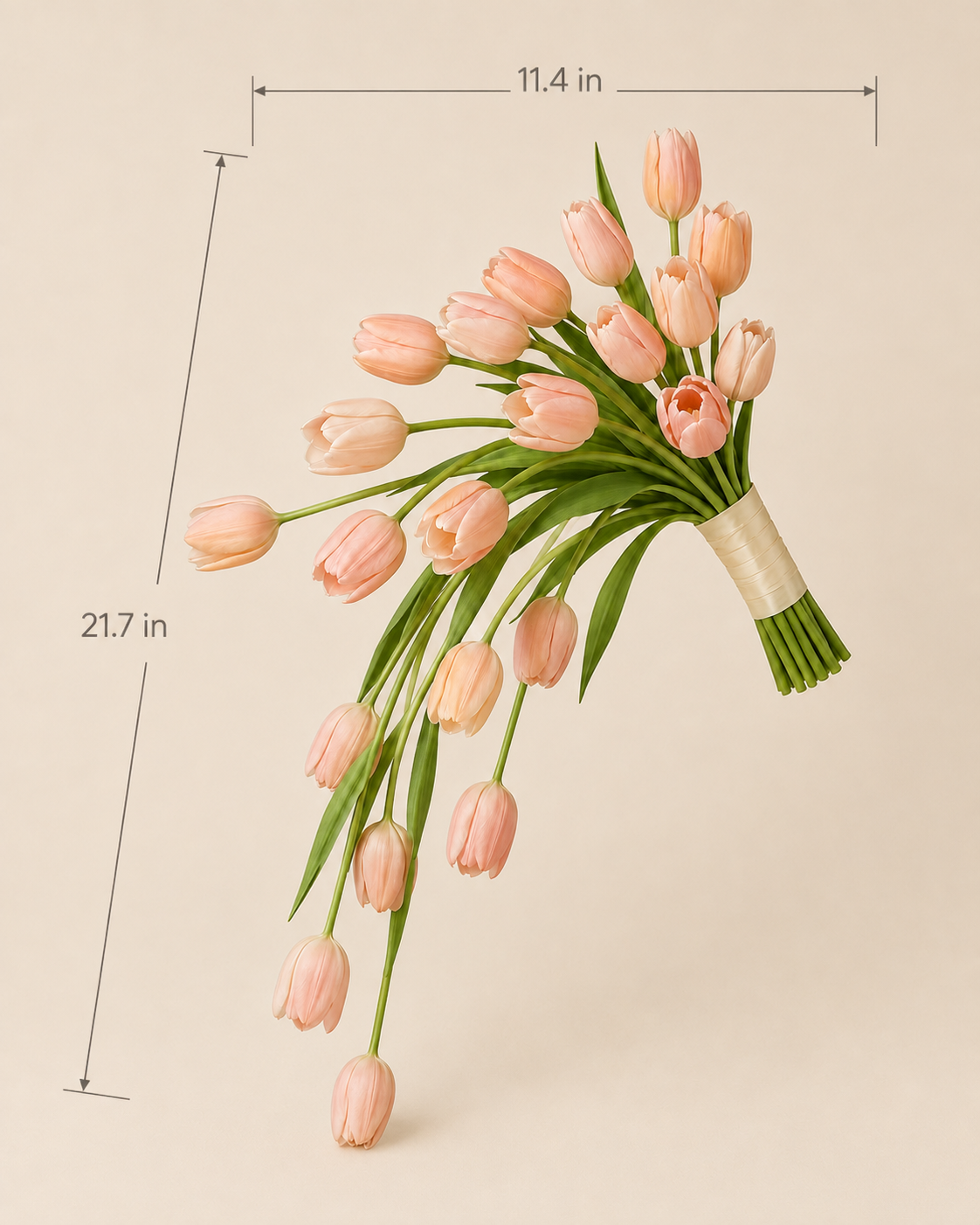 Tulip Cascade bouquet size guide, approximately 11.4in width and 21.7in length