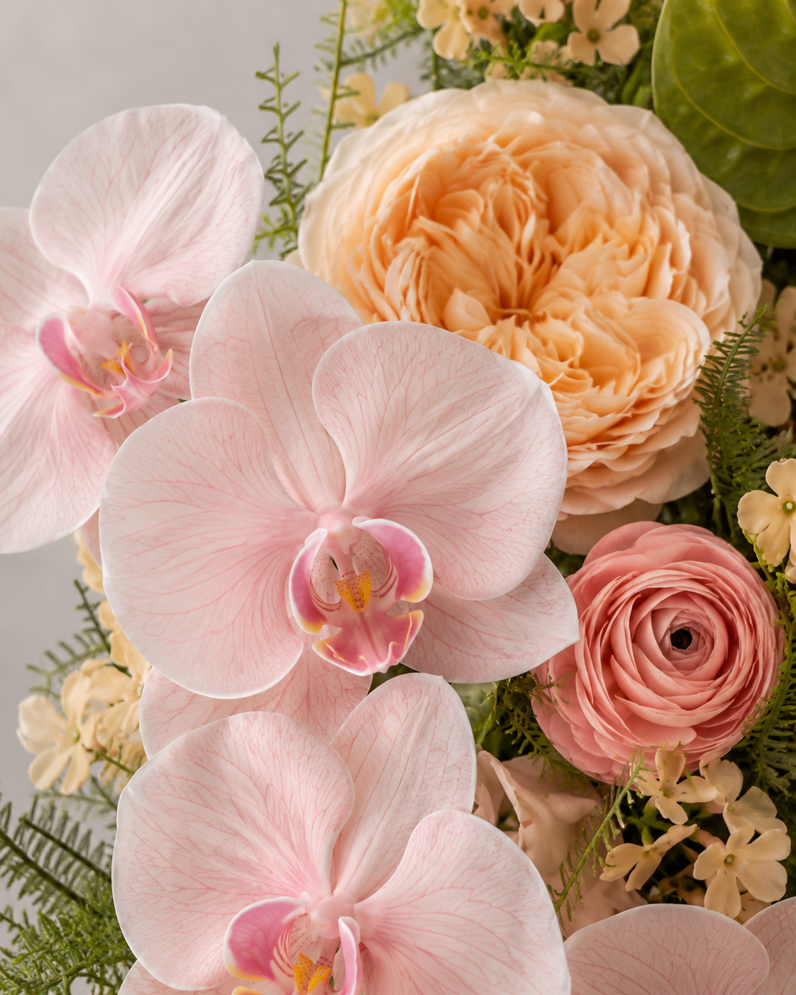 Macro close-up of blush orchid, garden rose, and ranunculus blooms, texture detail
