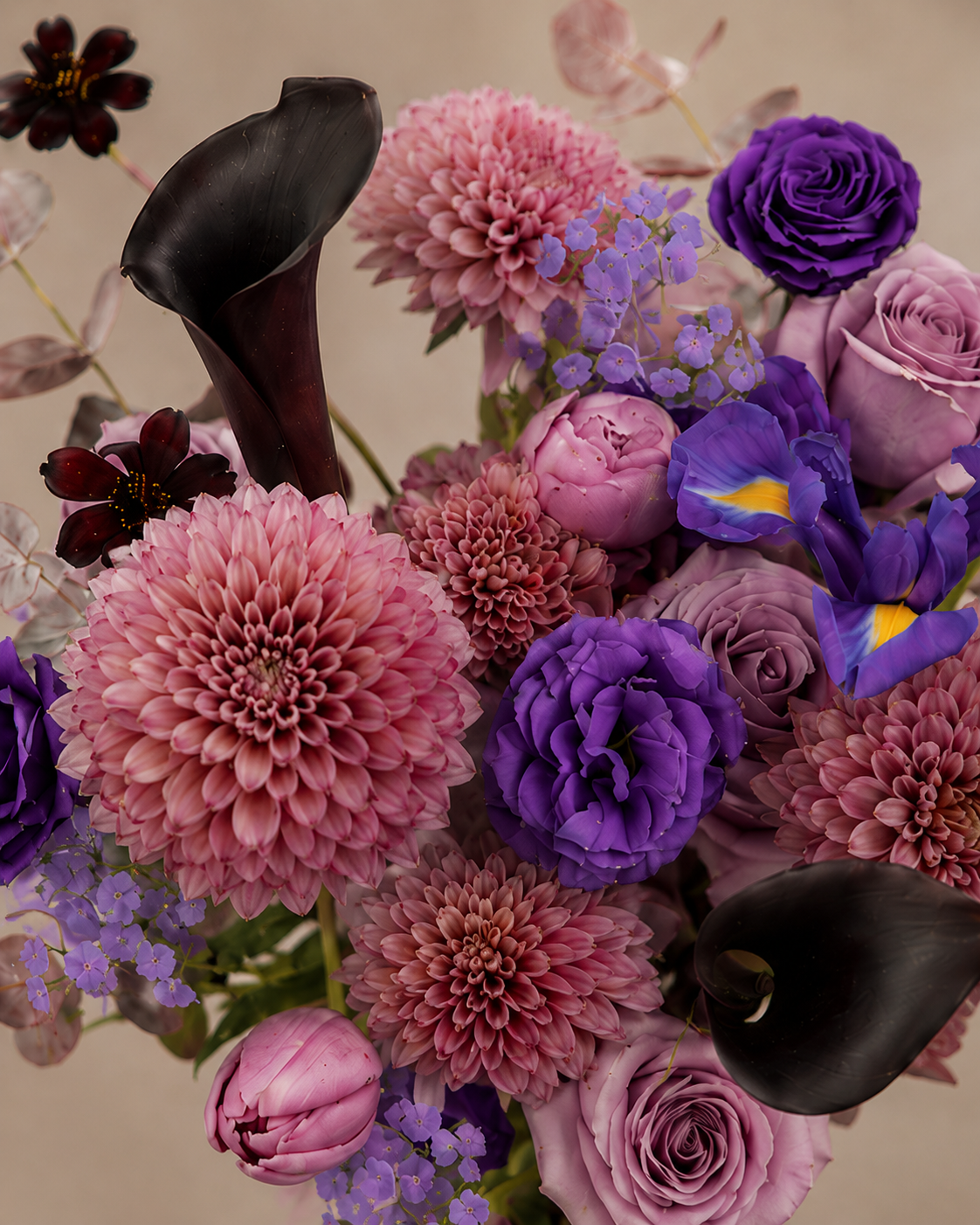 Close-up of dusty pink dahlias, violet irises, purple lisianthus, black calla lilies, dark cosmos and forget-me-not clusters in the Twilight Dahlia Cascade bouquet