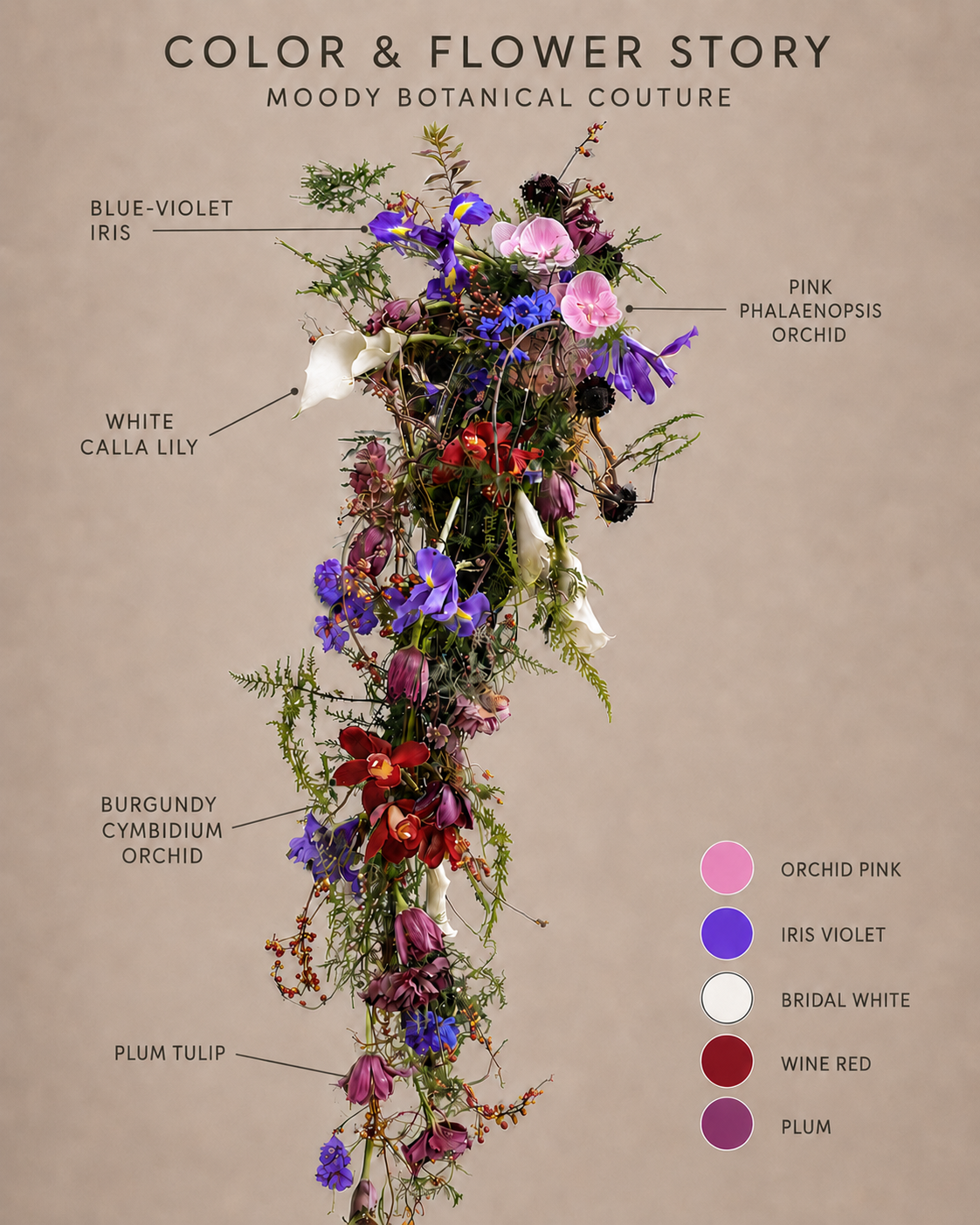 Botanical Couture color and flower story: blue-violet iris, pink phalaenopsis orchid, burgundy cymbidium orchid, white calla lily, plum tulip