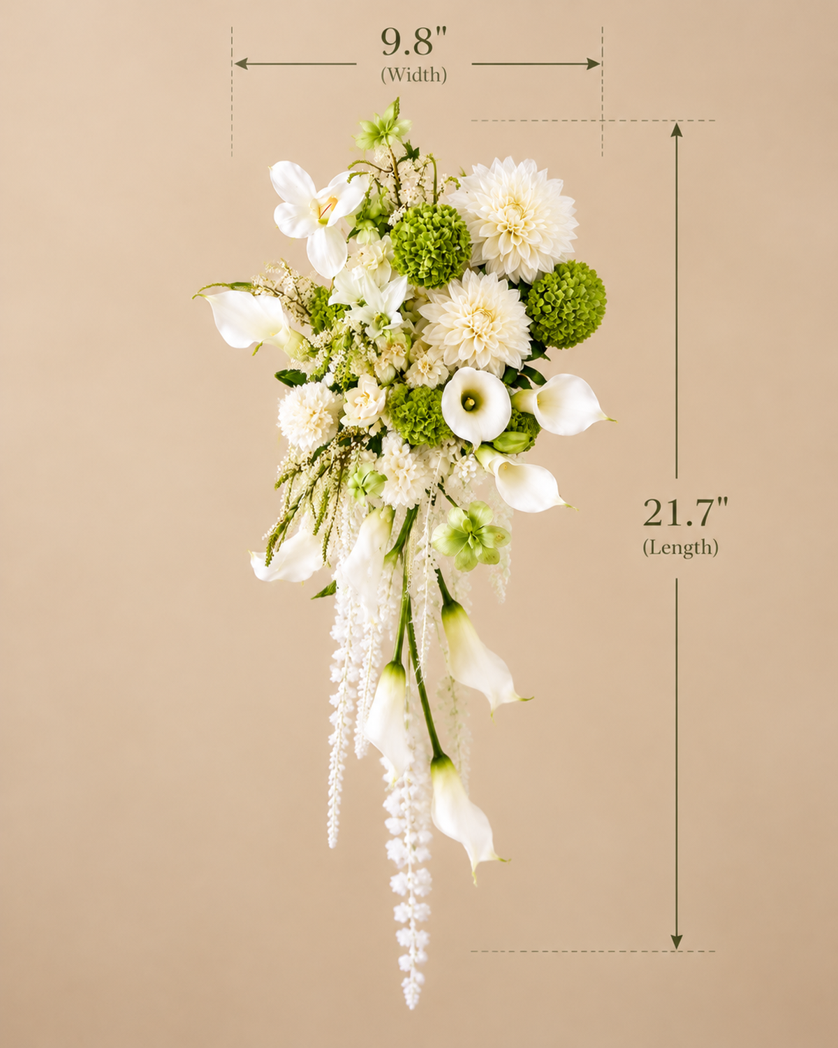 White Green Cascade bridal bouquet on a beige background with size markings showing a width of 9.8 inches and a length of 21.7 inches.