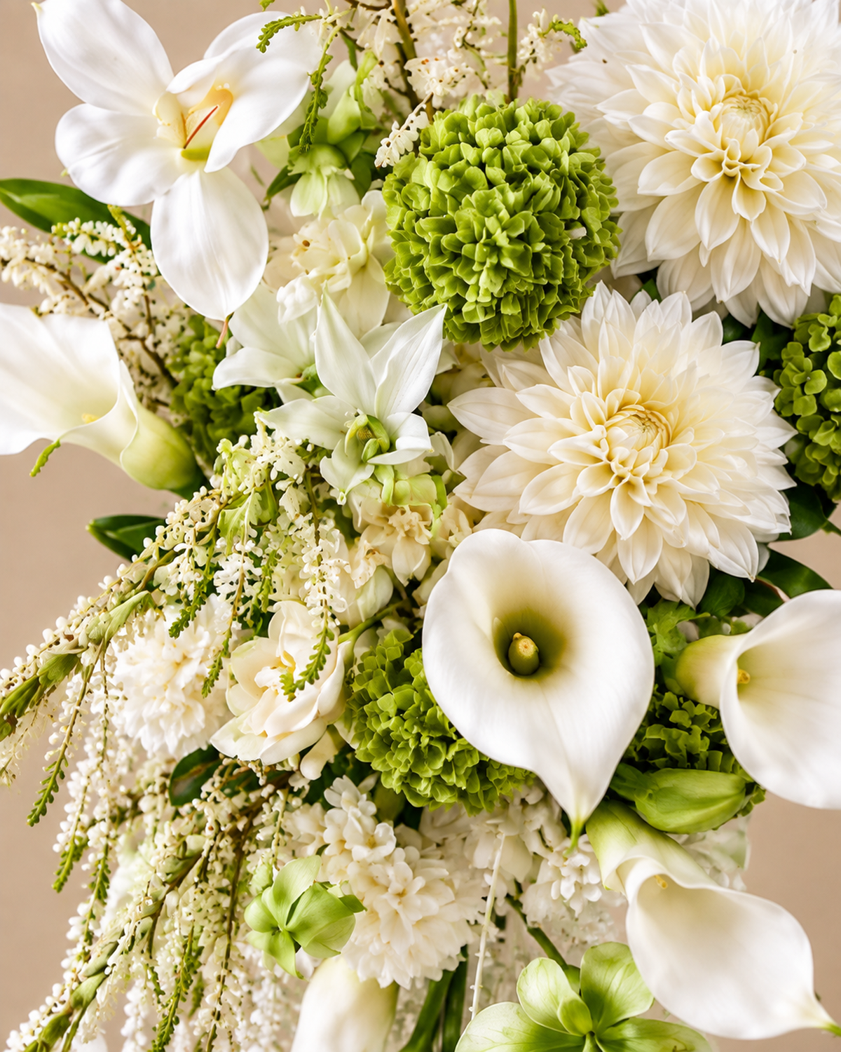Close-up of white dahlias, white calla lilies and green hydrangea with soft white and green blooms in the White Green Cascade bridal bouquet.