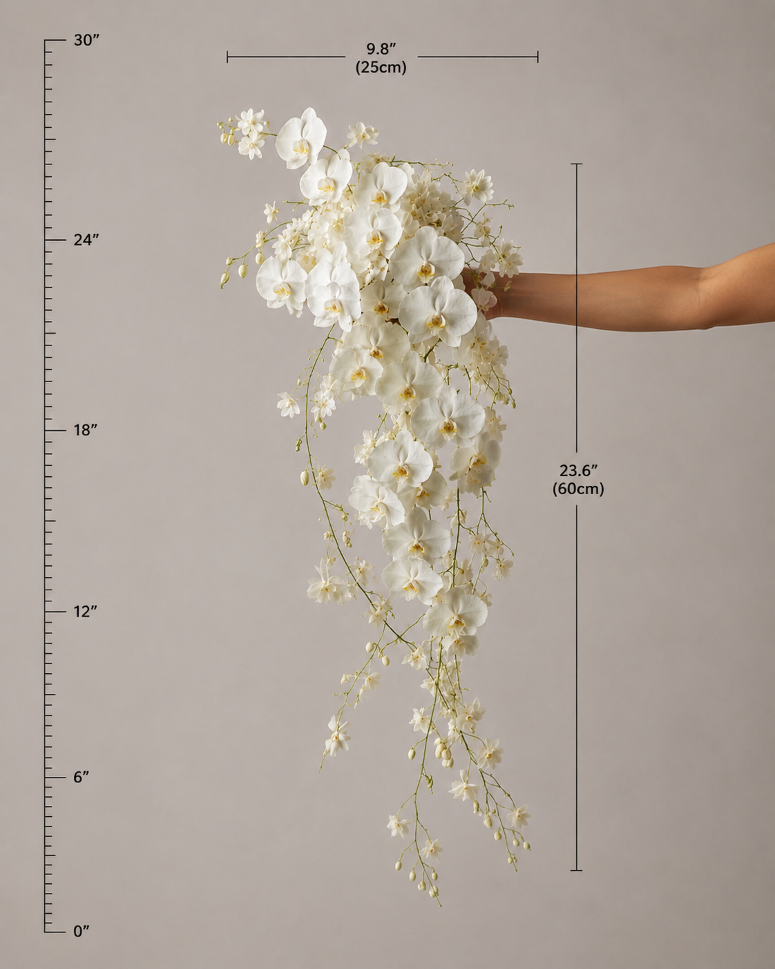 Phalaenopsis Waterfall bouquet size guide, approximately 25cm (9.8in) width and 60cm (23.6in) length