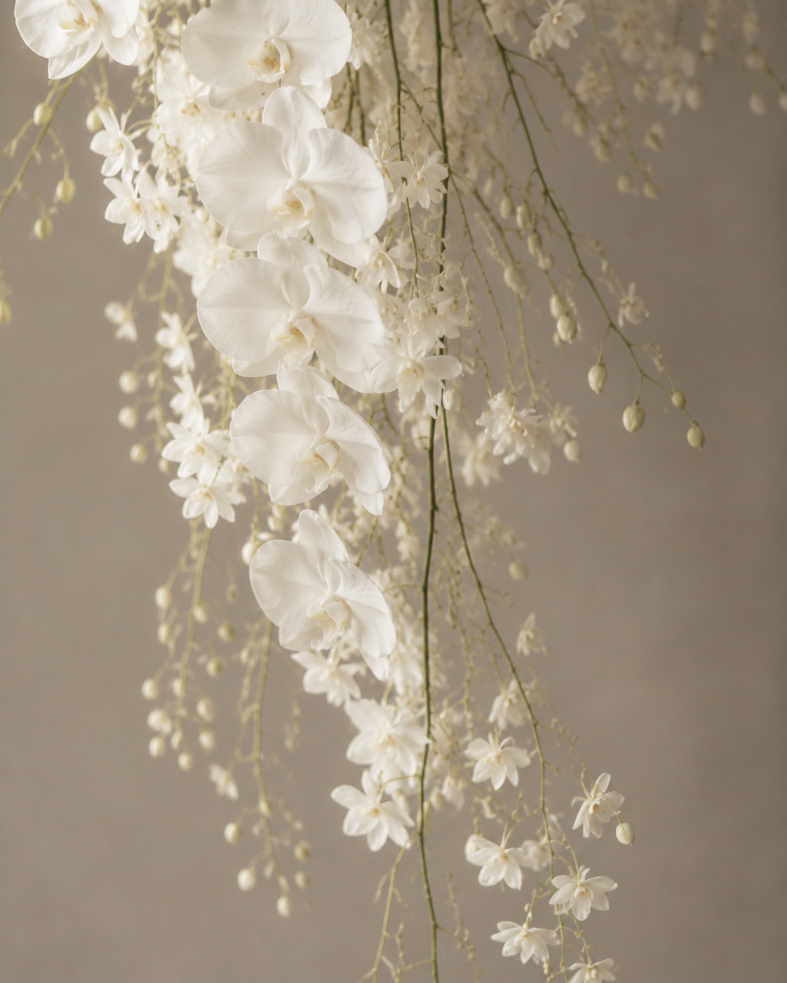 Close-up of trailing phalaenopsis orchid blooms and buds cascading down the bouquet, texture detail