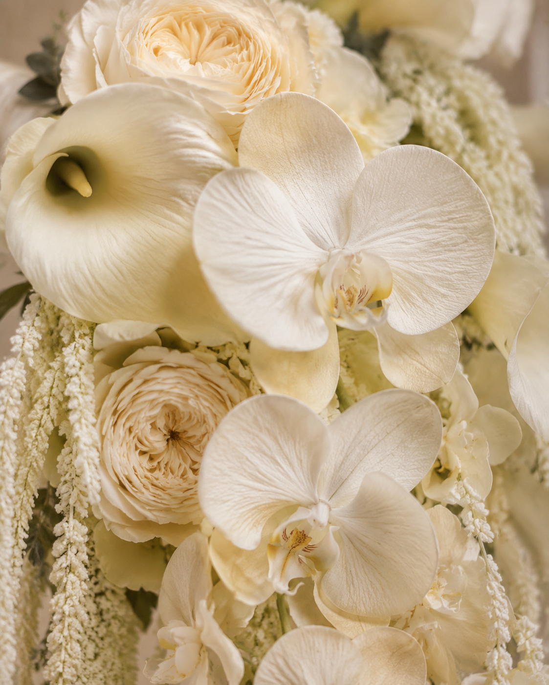 Ivory Cascade calla lily and orchid bridal bouquet, close-up macro detail